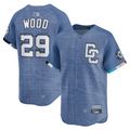 Custom #29 Blue City Connect WSH Baseball Shirt Top