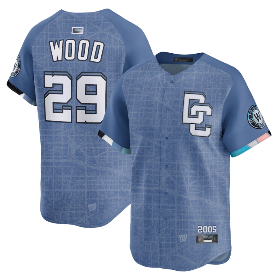 Custom #29 Blue City Connect WSH Baseball Shirt Top
